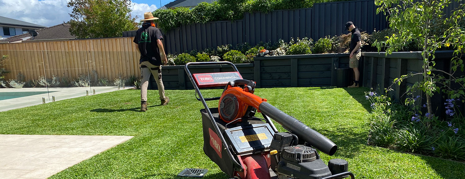 /images/slides/lawn-mowing/1.jpg